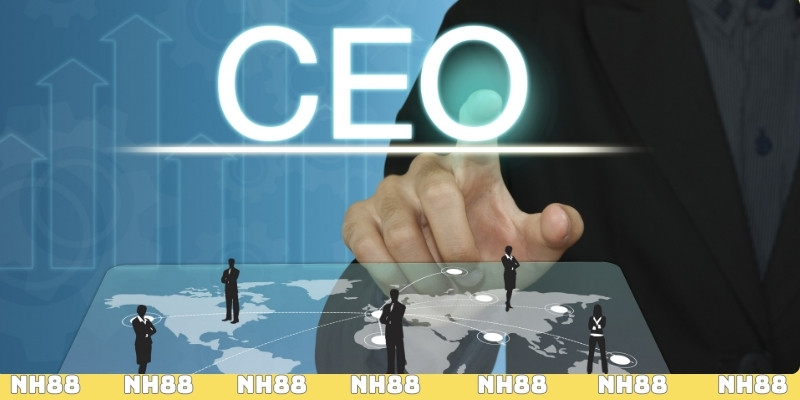 Lý lịch và kinh nghiệm của CEO Triệu Thanh Hải NH88
